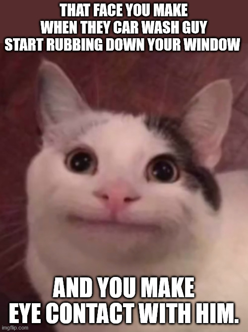 fake smile cat | THAT FACE YOU MAKE WHEN THEY CAR WASH GUY START RUBBING DOWN YOUR WINDOW; AND YOU MAKE EYE CONTACT WITH HIM. | image tagged in fake smile cat | made w/ Imgflip meme maker