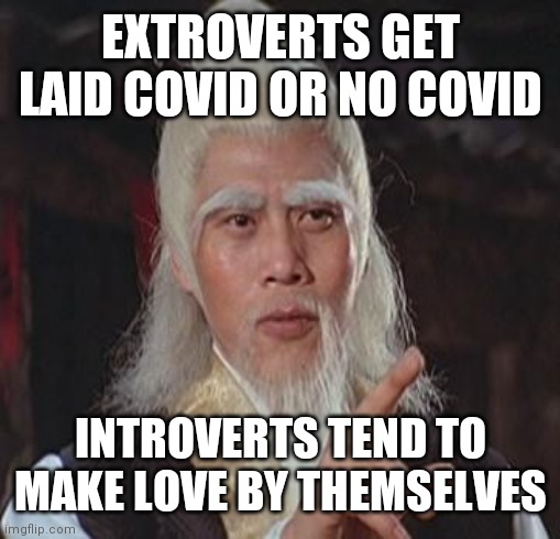 Wise Kung Fu Master | EXTROVERTS GET LAID COVID OR NO COVID INTROVERTS TEND TO MAKE LOVE BY THEMSELVES | image tagged in wise kung fu master | made w/ Imgflip meme maker