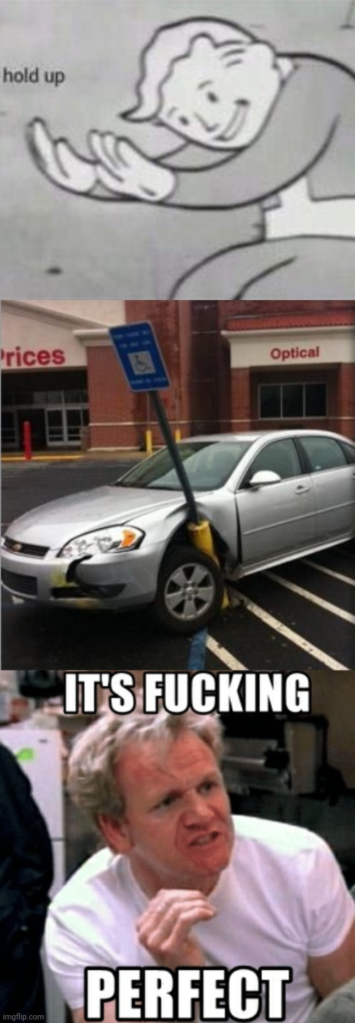 The perfect parking job. | image tagged in handicapped parking space,fallout hold up,gordon ramsey | made w/ Imgflip meme maker