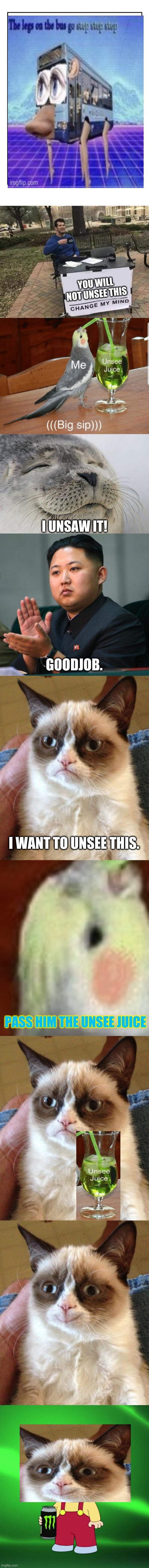 Sit back relax grab some UNSEE JUICE and look at the picture. | YOU WILL NOT UNSEE THIS; I UNSAW IT! GOODJOB. I WANT TO UNSEE THIS. PASS HIM THE UNSEE JUICE | image tagged in memes,grumpy cat,grumpy cat happy,clap,satisfied seal,hyper | made w/ Imgflip meme maker