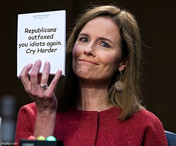 Amy Coney Barrett Blank Notes | Republicans outfoxed you idiots again. 
Cry Harder | image tagged in amy coney barrett blank notes | made w/ Imgflip meme maker