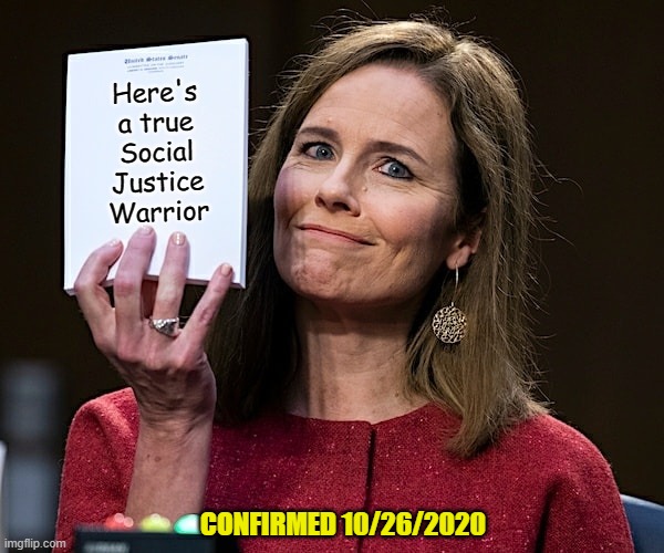 Still winning...four years later | Here's a true Social Justice Warrior; CONFIRMED 10/26/2020 | image tagged in amy coney barrett blank notes,victory,scotus,donald trump approves | made w/ Imgflip meme maker