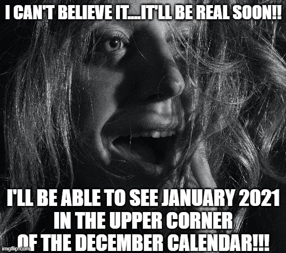 She peeked in curiosity... |  I CAN'T BELIEVE IT....IT'LL BE REAL SOON!! I'LL BE ABLE TO SEE JANUARY 2021
IN THE UPPER CORNER OF THE DECEMBER CALENDAR!!! | image tagged in memes,funny memes,lol so funny,2020,2020 sucks,imgflip humor | made w/ Imgflip meme maker