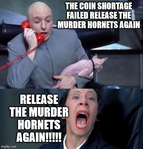 Release the Murder Hornets Again!!! | THE COIN SHORTAGE FAILED RELEASE THE MURDER HORNETS AGAIN; RELEASE THE MURDER HORNETS AGAIN!!!!! | image tagged in dr evil,murder hornets,coin shortage | made w/ Imgflip meme maker