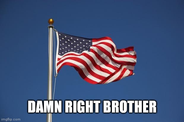 US Flag | DAMN RIGHT BROTHER | image tagged in us flag | made w/ Imgflip meme maker