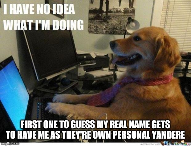 Ran out of ideas so I just did this i guess... also hint:starts with an "r" | FIRST ONE TO GUESS MY REAL NAME GETS TO HAVE ME AS THEY'RE OWN PERSONAL YANDERE | image tagged in i have no idea what i'm doing dog | made w/ Imgflip meme maker