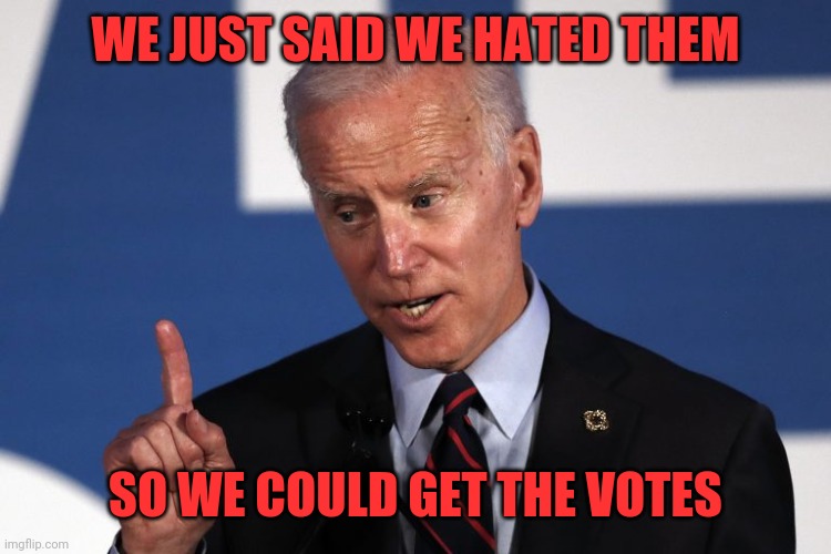WE JUST SAID WE HATED THEM SO WE COULD GET THE VOTES | made w/ Imgflip meme maker