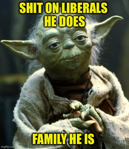 Star Wars Yoda Meme | SHIT ON LIBERALS 
HE DOES FAMILY HE IS | image tagged in memes,star wars yoda | made w/ Imgflip meme maker