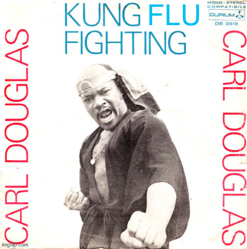 Kung Fu Fighting | FLU | image tagged in kung fu fighting | made w/ Imgflip meme maker