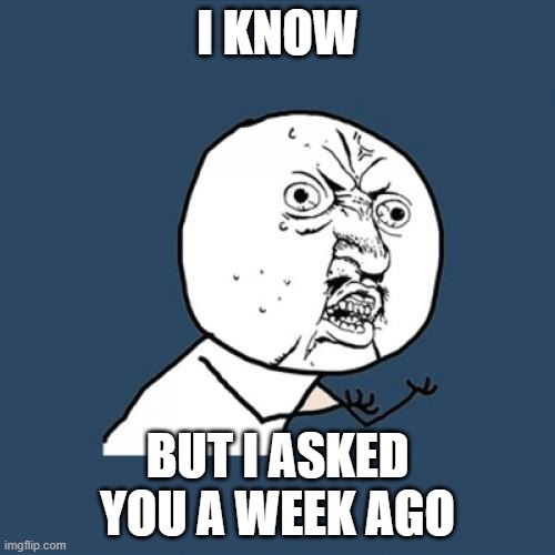 Y U No Meme | I KNOW; BUT I ASKED YOU A WEEK AGO | image tagged in memes,y u no | made w/ Imgflip meme maker