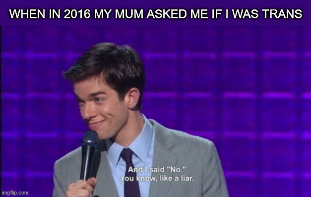 I just couldn't, I had other things to do first | WHEN IN 2016 MY MUM ASKED ME IF I WAS TRANS | image tagged in john mulaney and i said no you know like a liar,trans,gender | made w/ Imgflip meme maker