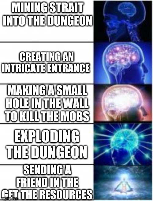 minecraft dungeons | MINING STRAIT INTO THE DUNGEON; CREATING AN INTRICATE ENTRANCE; MAKING A SMALL HOLE IN THE WALL TO KILL THE MOBS; EXPLODING THE DUNGEON; SENDING A FRIEND IN THE GET THE RESOURCES | image tagged in minecraft,gaming | made w/ Imgflip meme maker