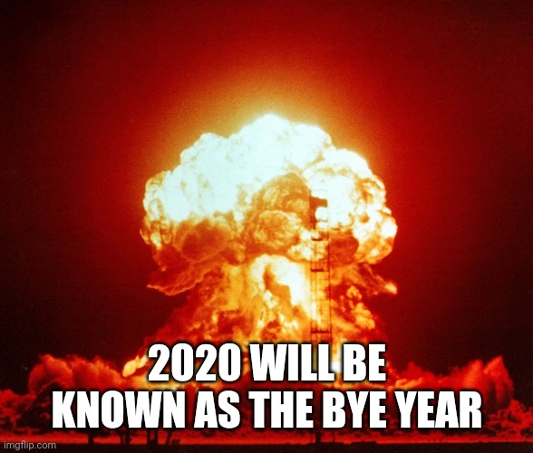 Fireball | 2020 WILL BE KNOWN AS THE BYE YEAR | image tagged in fireball | made w/ Imgflip meme maker