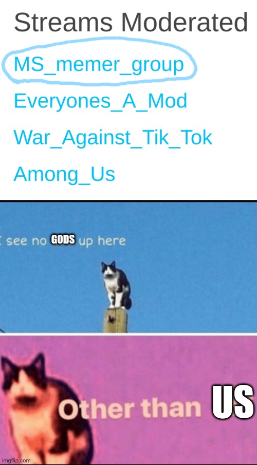 GODS; US | image tagged in hail pole cat | made w/ Imgflip meme maker