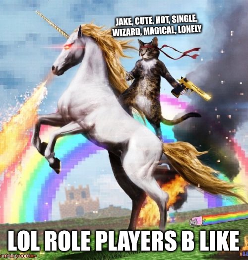 role-players b like | JAKE, CUTE, HOT, SINGLE, WIZARD, MAGICAL, LONELY; LOL ROLE PLAYERS B LIKE | image tagged in memes,welcome to the internets | made w/ Imgflip meme maker