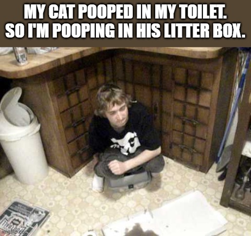 Pooping In My Cat's Litter Box | MY CAT POOPED IN MY TOILET. SO I'M POOPING IN HIS LITTER BOX. | image tagged in pooping,cat,litter box,toilet,funny,wtf | made w/ Imgflip meme maker