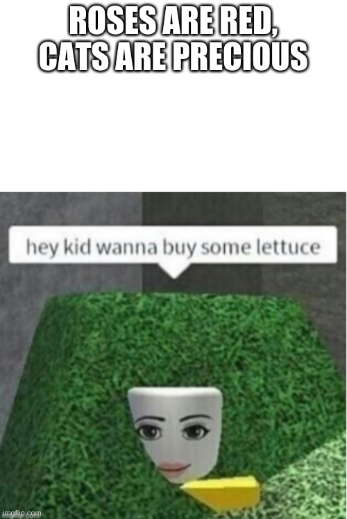 Lettuce |  ROSES ARE RED, CATS ARE PRECIOUS | image tagged in lettuce,roblox | made w/ Imgflip meme maker