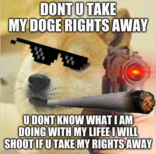 doge rights | DONT U TAKE MY DOGE RIGHTS AWAY; U DONT KNOW WHAT I AM DOING WITH MY LIFEE I WILL SHOOT IF U TAKE MY RIGHTS AWAY | image tagged in doge | made w/ Imgflip meme maker