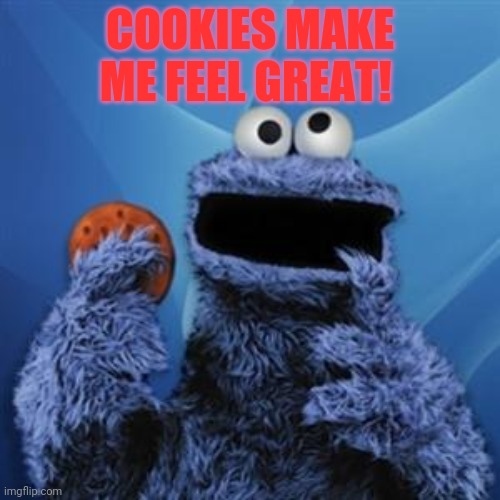 cookie monster | COOKIES MAKE ME FEEL GREAT! | image tagged in cookie monster | made w/ Imgflip meme maker