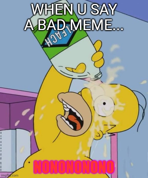 Homer with bleach | WHEN U SAY A BAD MEME... NONONONONO | image tagged in homer with bleach | made w/ Imgflip meme maker
