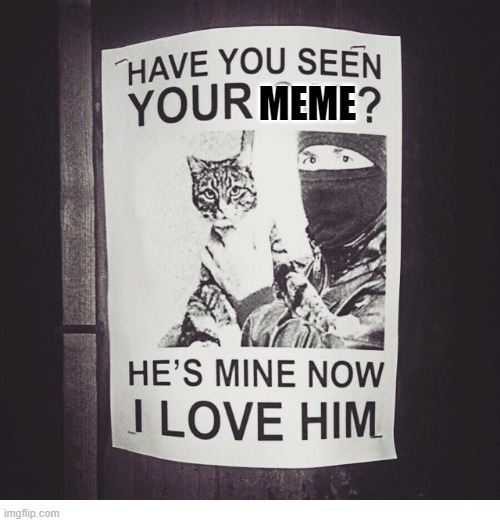 Have you seen your meme | MEME | image tagged in meme,cats,stolen memes week | made w/ Imgflip meme maker