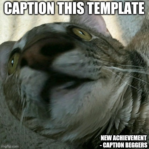when something | CAPTION THIS TEMPLATE; NEW ACHIEVEMENT - CAPTION BEGGERS | image tagged in when something | made w/ Imgflip meme maker