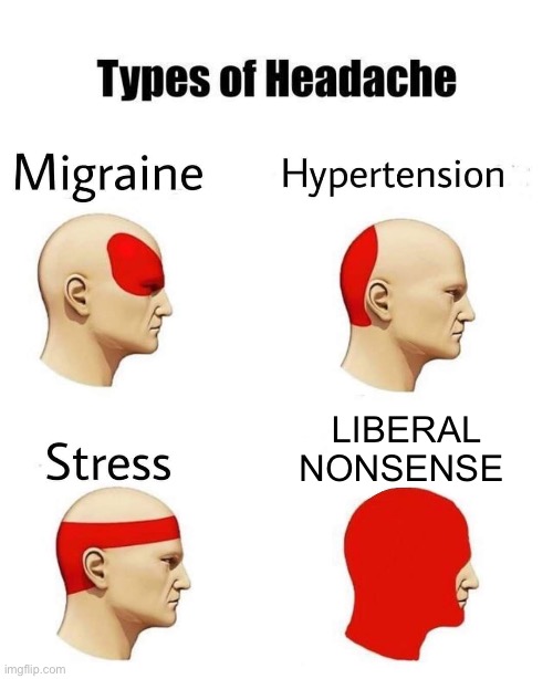 Types of Headaches | LIBERAL NONSENSE | image tagged in liberals,liberal logic | made w/ Imgflip meme maker