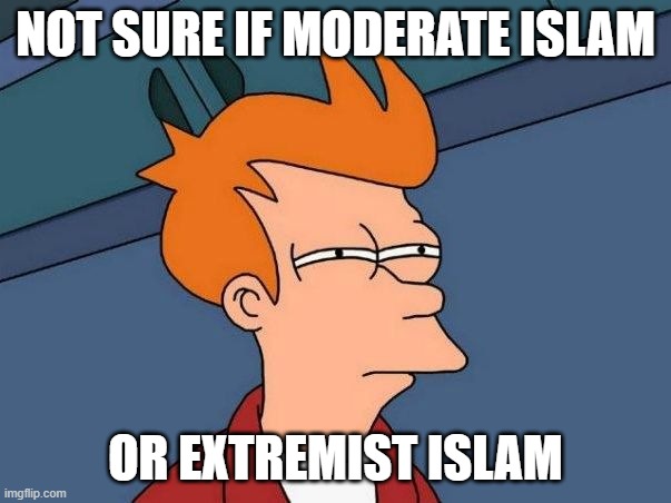 Not Sure If Moderate Islam Or Extremist Islam | NOT SURE IF MODERATE ISLAM; OR EXTREMIST ISLAM | image tagged in not sure if- fry | made w/ Imgflip meme maker