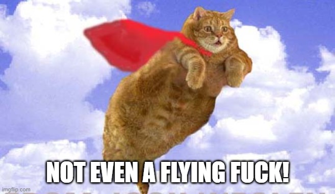 flying cats | NOT EVEN A FLYING FUCK! | image tagged in flying cats | made w/ Imgflip meme maker