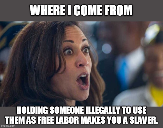 kamala harriss | WHERE I COME FROM HOLDING SOMEONE ILLEGALLY TO USE THEM AS FREE LABOR MAKES YOU A SLAVER. | image tagged in kamala harriss | made w/ Imgflip meme maker