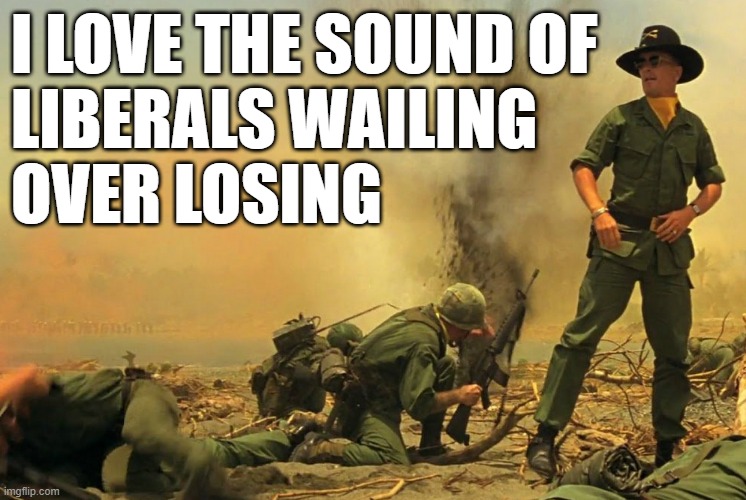 Liberals wailing over losing | I LOVE THE SOUND OF 
LIBERALS WAILING 
OVER LOSING | image tagged in politics | made w/ Imgflip meme maker