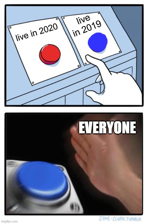 meme | live in 2019; live in 2020; EVERYONE | image tagged in memes,two buttons,blank nut button | made w/ Imgflip meme maker