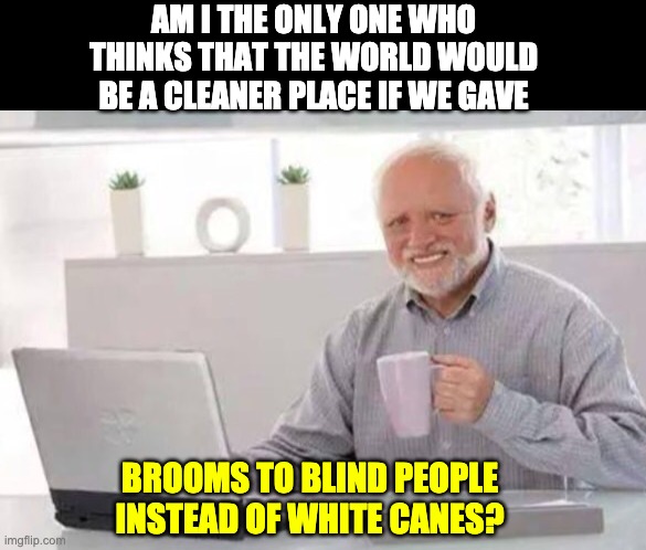 Make the world a cleaner place | AM I THE ONLY ONE WHO THINKS THAT THE WORLD WOULD BE A CLEANER PLACE IF WE GAVE; BROOMS TO BLIND PEOPLE INSTEAD OF WHITE CANES? | image tagged in harold | made w/ Imgflip meme maker