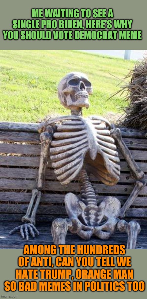 Is it just me or are not even the democrats that convinced Biden is a good pick? | ME WAITING TO SEE A SINGLE PRO BIDEN, HERE'S WHY YOU SHOULD VOTE DEMOCRAT MEME; AMONG THE HUNDREDS OF ANTI, CAN YOU TELL WE HATE TRUMP, ORANGE MAN SO BAD MEMES IN POLITICS TOO | image tagged in memes,waiting skeleton,election 2020 | made w/ Imgflip meme maker