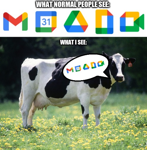 it looks like moooo | WHAT NORMAL PEOPLE SEE:; WHAT I SEE: | image tagged in cows,google,funny,memes | made w/ Imgflip meme maker