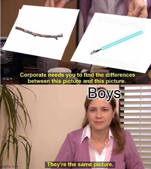 Stick and lightsaber. Whats the difference? | Boys | image tagged in memes,they're the same picture | made w/ Imgflip meme maker