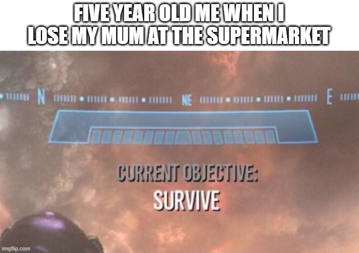 survive the supermarket | FIVE YEAR OLD ME WHEN I LOSE MY MUM AT THE SUPERMARKET | image tagged in current objective survive | made w/ Imgflip meme maker