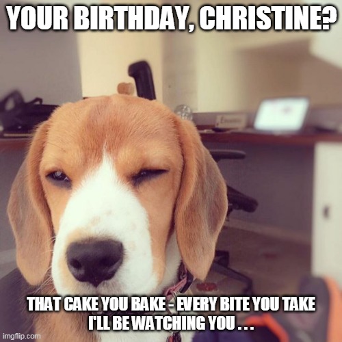 Beagle |  YOUR BIRTHDAY, CHRISTINE? THAT CAKE YOU BAKE - EVERY BITE YOU TAKE
I'LL BE WATCHING YOU . . . | image tagged in beagle | made w/ Imgflip meme maker