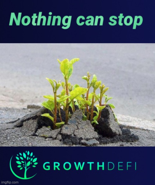 growthdefi | image tagged in memes | made w/ Imgflip meme maker
