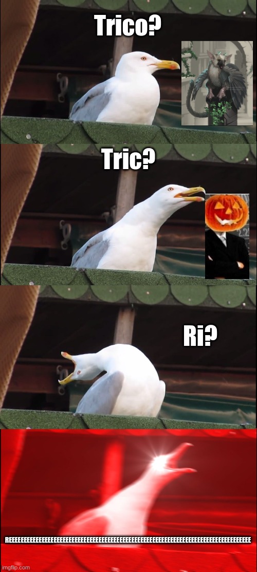 TRICO IS LEGIT |  Trico? Tric? Ri? REEEEEEEEEEEEEEEEEEEEEEEEEEEEEEEEEEEEEEEEEEEEEEEEEEEEEEEEEEEEEEEEEEEEEEEEEEEEEEEEE | image tagged in memes,inhaling seagull | made w/ Imgflip meme maker