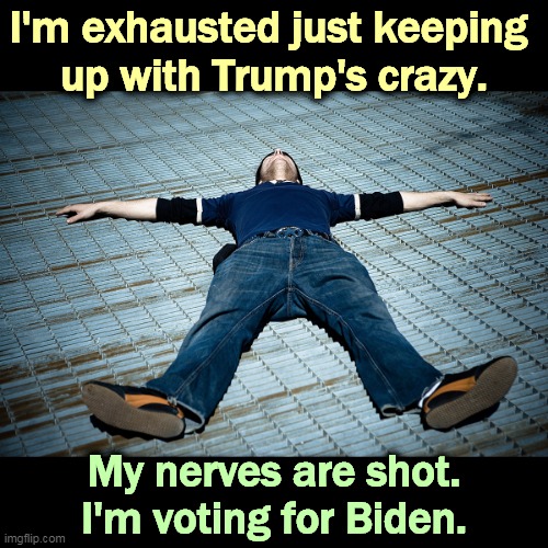 Can't take four more years of this? | I'm exhausted just keeping 
up with Trump's crazy. My nerves are shot. I'm voting for Biden. | image tagged in trump,crazy,biden,calm | made w/ Imgflip meme maker