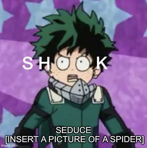 Spider is not gonna get seduced | SEDUCE
 [INSERT A PICTURE OF A SPIDER] | image tagged in deku shook | made w/ Imgflip meme maker