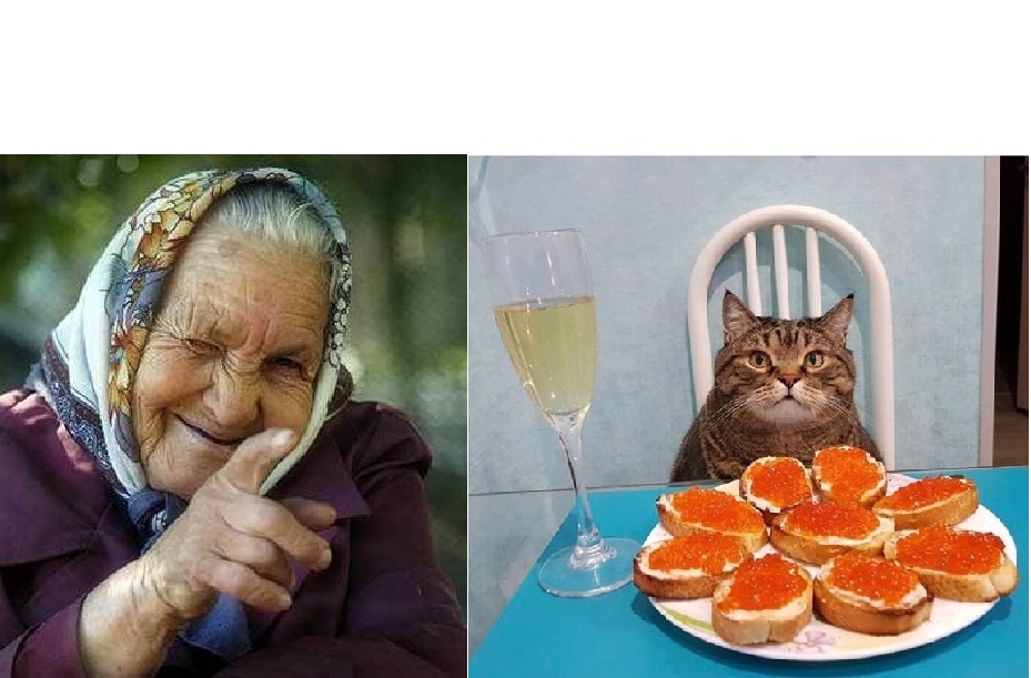 High Quality Babushka Winking at cat Blank Meme Template