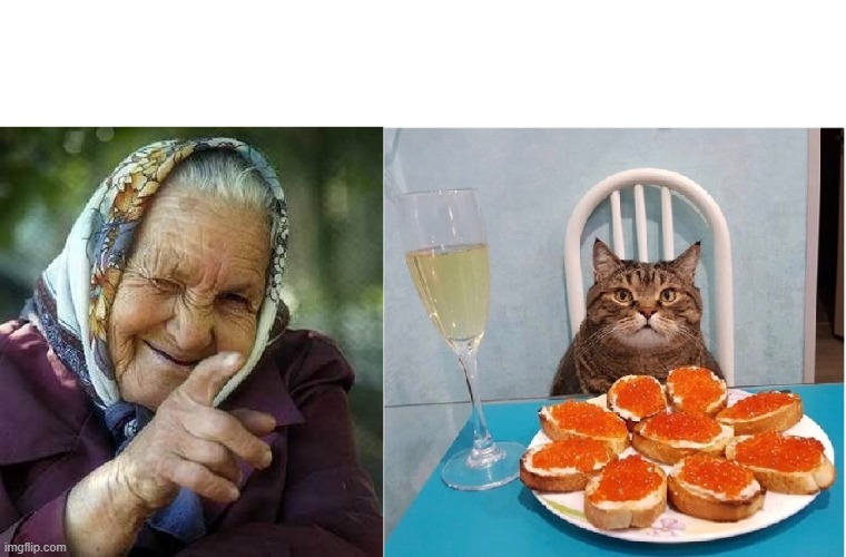 Babushka Winking At Fat Cat | image tagged in babushka winking at cat,lady screams at cat,babushka,fat cat,sassy cat | made w/ Imgflip meme maker