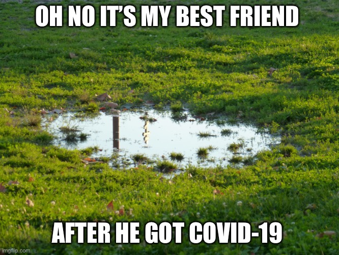 puddle-flood | OH NO IT’S MY BEST FRIEND AFTER HE GOT COVID-19 | image tagged in puddle-flood | made w/ Imgflip meme maker