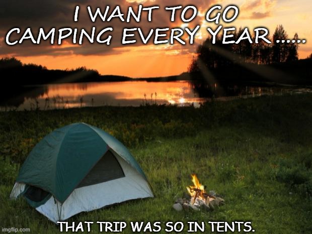 Bad Dad Joke Oct 27 2020 | I WANT TO GO CAMPING EVERY YEAR...... THAT TRIP WAS SO IN TENTS. | image tagged in camping it's in tents | made w/ Imgflip meme maker