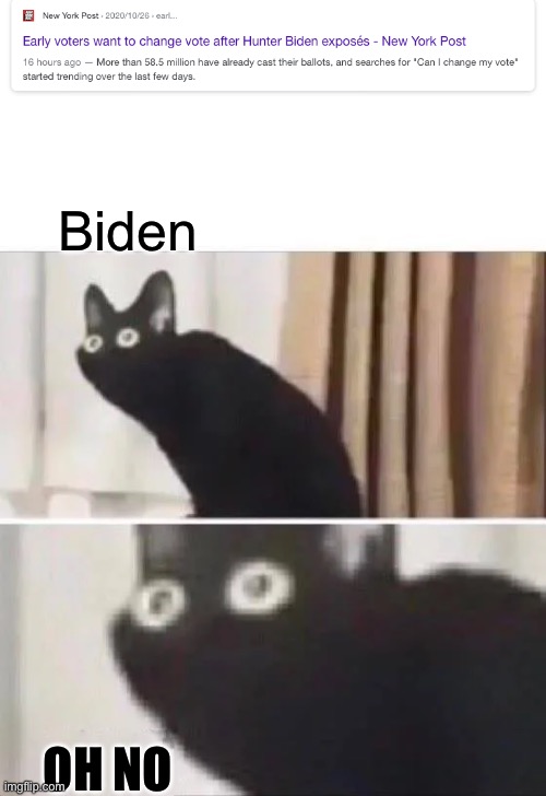 Now Biden is real messed up | Biden; OH NO | image tagged in oh no black cat,joe biden,messing up | made w/ Imgflip meme maker