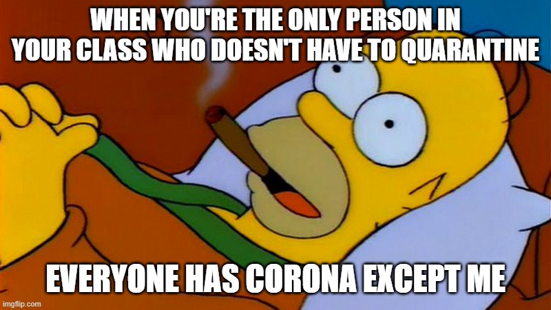 everyone is stupid except me | WHEN YOU'RE THE ONLY PERSON IN YOUR CLASS WHO DOESN'T HAVE TO QUARANTINE; EVERYONE HAS CORONA EXCEPT ME | image tagged in everyone is stupid except me,corona,coronavirus,meme,coronavirus meme | made w/ Imgflip meme maker