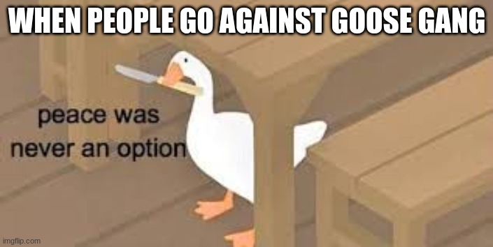  WHEN PEOPLE GO AGAINST GOOSE GANG | image tagged in untitled goose peace was never an option,memes | made w/ Imgflip meme maker