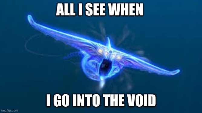 ghost boi | ALL I SEE WHEN; I GO INTO THE VOID | image tagged in subnautica ghost leviathan | made w/ Imgflip meme maker